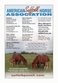 2019 Suffolk Gathering 