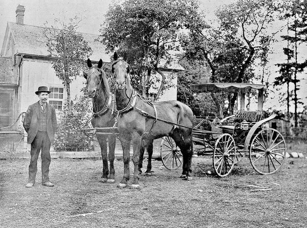 L
Thomas Henry Sadler
My Grandfather was Thomas Henry who came to Canada from Ireland with
his father, Thomas and his mother, Jane Lockhead when he was 12 years old. While they walked from Perth to the farm in Pakenham, his mother took sick and died. She is buried somewhere on the Old Perth Road. He and his Dad settled in Pakenham Township on a farm. They were successful farmers because of their background in market gardening in Ireland. They made maple syrup, milked Holstein cows as well. My Grandfather’s favourite team was Bob and Charlie. In this photograph is my grandfather with this team in about 1913. Unfortunately this team came to an untimely end due to certain circumstances. Thomas Henry’s brother, George was a doctor in Combermere, Ontario. George
came to visit his brother by train. During his stay he received a telegram informing him of an outbreak of a contagious disease, which required his immediate attention. The train wasn’t going back until
late the next day. So George took this team to drive to Combermere, which is about 100 miles. As a result of this emergency drive one of the horses had to be destroyed shortly after reaching Combermere and the second horse had to be destroyed a week later. Thomas Henry never again owned such an exceptional team in his lifetime. as doing mixed farming. I was the first grandchild and I was 12 years old when he died. My father and mother lived across the road from my
grandfather. So I spent a great deal of time with him. Earl Sadler, Pakenham, Ontario