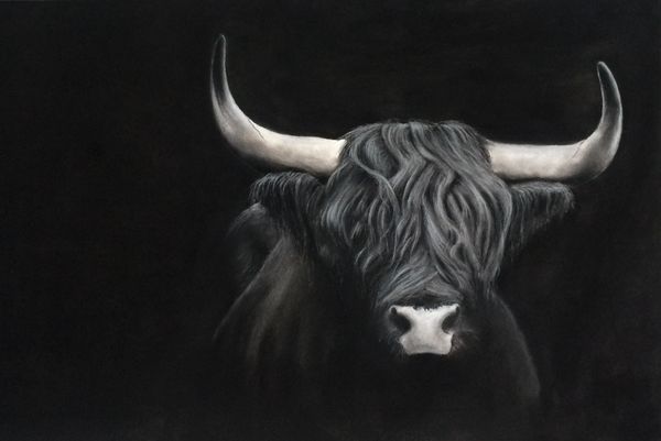 Lora George lives near Halifax, Nova Scotia.
HIGHLAND BULL