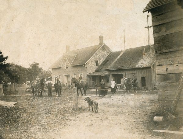 Lappan Family Farm - Lansdowne, Ontario
Note the young couple, with 3 children on horse's back, and one driving the light team, as well as the mother was living with the family.
The light team took the milk to the cheese factory (see 30 gallon can of milk on wagon) as well as being the driving team to go to town. Note the windmill to the right, a water tank was inside the building to cool the milk.
The matched team would have been the main working farm team with a 3rd horse used when needed.
A great farm scene - pump, potash kettle and collie farm dog.