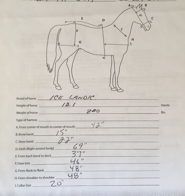 SPECIAL ORDER HARNESS MEASUREMENT FORM