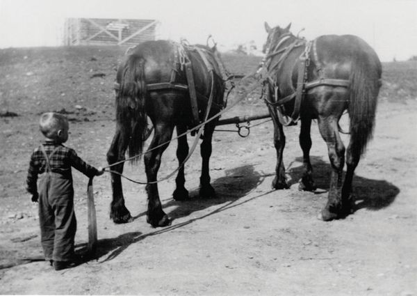 I
I have lived on our farm/ranch near the beautiful hamlet of Indus, Alberta for thirty-seven years. Prior to this I was raised in south western Alberta and eastern British Columbia. My early childhood was
on a guest ranch near Pincher Creek. I have two black and white photographs from the Buckhorn Ranch, one showing me as a four year old holding a team for my Dad and on another occasion I was driving a pony on a cart! Horses have been a part of my life for all but maybe ten
years when I lived in the city. Horses are a passion for me. I retired eighteen years ago and I have been playing wheelwright, wagon builder, training, and driving horses ever since.
Verne Kemble Indus, Alberta