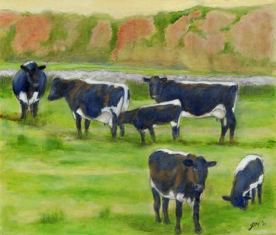 Lynch Lineback Cattle